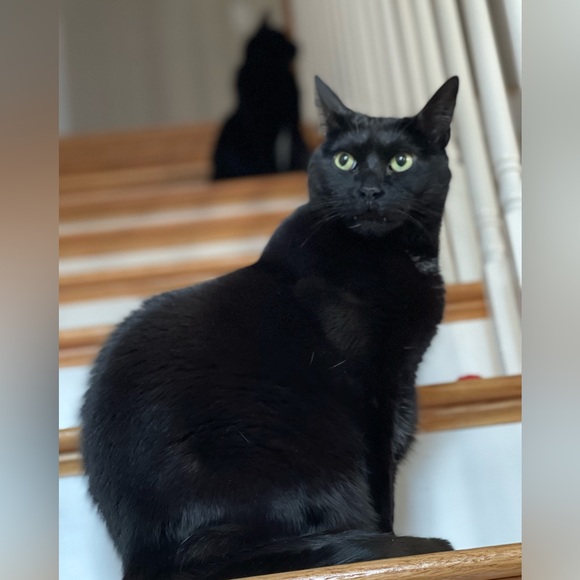 Meet your Posher, Jen - Picture 4 of 14